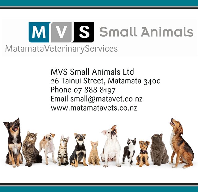 MVS Small Animals Ltd - Matamata Intermediate School